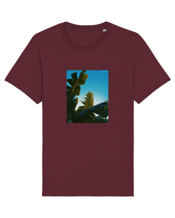 Tropical Therapy no. 6 Burgundy