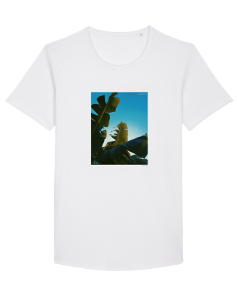Tropical Therapy no. 6 White