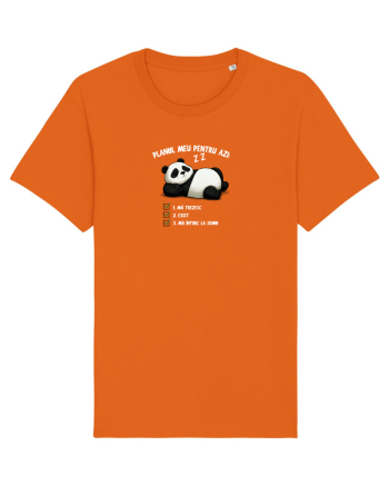 Planul meu pentru azi Bright Orange