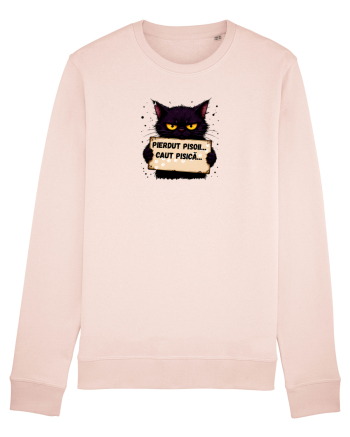Pierdut pisoi..caut pisică  Candy Pink