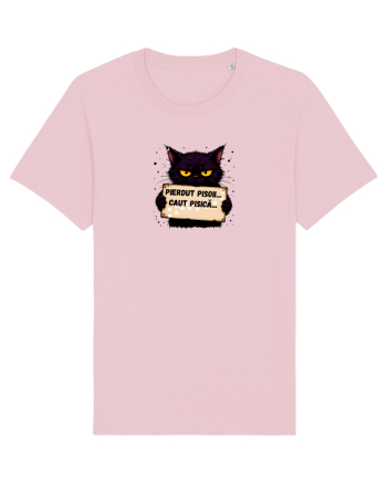 Pierdut pisoi..caut pisică  Cotton Pink