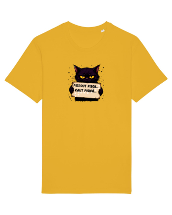 Pierdut pisoi..caut pisică  Spectra Yellow
