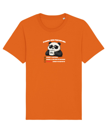 Planul meu pentru azi Bright Orange