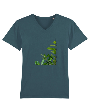 Tropical Therapy no. 8 Stargazer