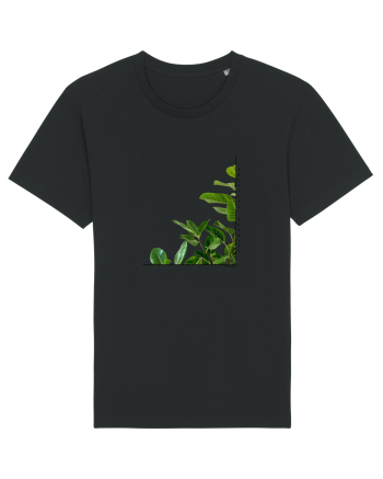 Tropical Therapy no. 8 Black
