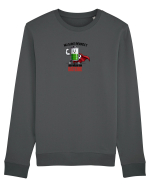 Nu sunt perfect Bluză mânecă lungă Unisex Rise