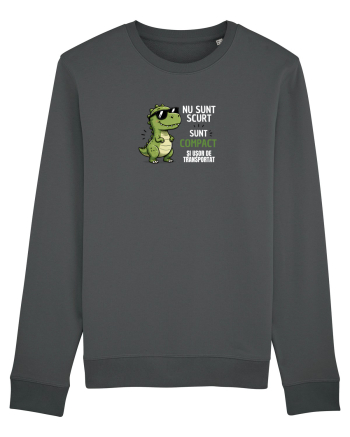Nu sunt scurt..sunt compact  Anthracite
