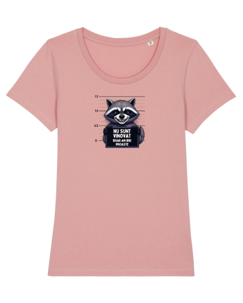 Nu sunt vinovat...doar am idei proste. Canyon Pink