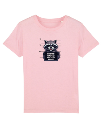 Nu sunt vinovat...doar am idei proste. Cotton Pink