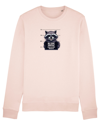 Nu sunt vinovat...doar am idei proste. Candy Pink