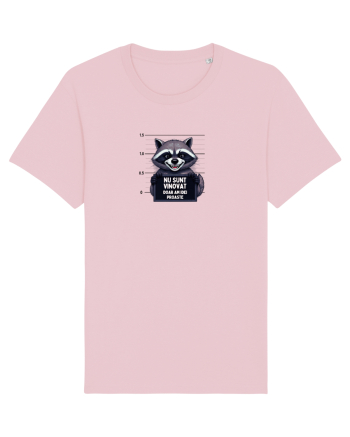 Nu sunt vinovat...doar am idei proste. Cotton Pink