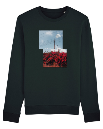 Tropical Therapy no. 9 Black