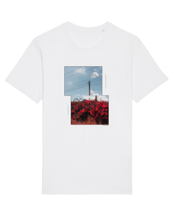 Tropical Therapy no. 9 White