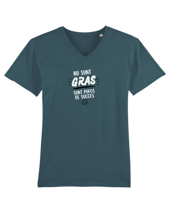 Nu sunt gras....sunt pufos de succes  Stargazer