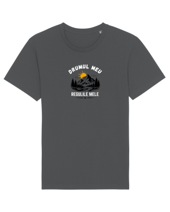 Drumul meu. Regulile mele Anthracite