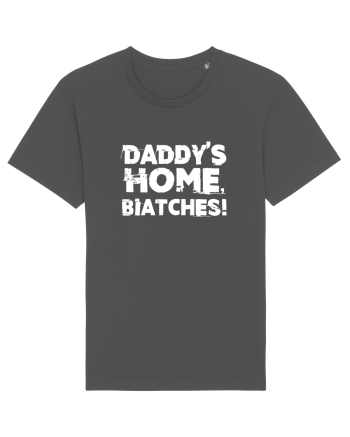Daddy's Home, Biatches! Anthracite