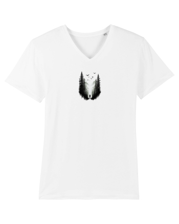 Explorarea  White