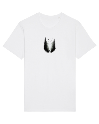 Explorarea  White