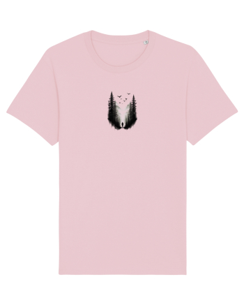 Explorarea  Cotton Pink