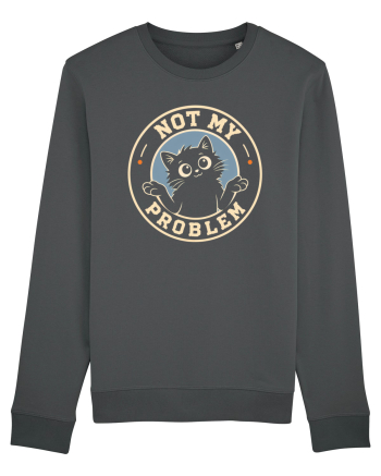 Not My Problem – Pisică Nepăsătoare Anthracite