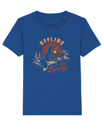 Offline Is the New Luxury Majorelle Blue