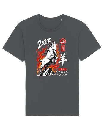 2027 Year of the Fire Goat Chinese Zodiac Lunar New Year Anthracite