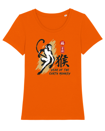 Year of the Monkey Chinese Zodiac Earth Monkey Lunar New Bright Orange