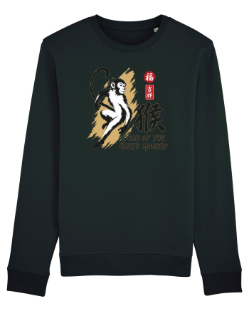 Year of the Monkey Chinese Zodiac Earth Monkey Lunar New Black