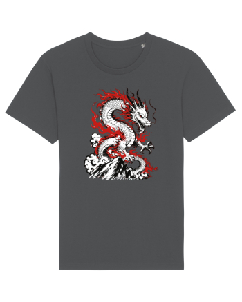 Dragon Chinese Zodiac Dragon Lunar New Year Traditional Anthracite