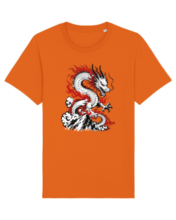 Dragon Chinese Zodiac Dragon Lunar New Year Traditional Bright Orange