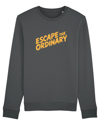 ESCAPE THE ORDINARY - Evadează din cotidian - Iesi din rutina Anthracite