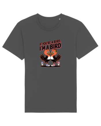 IF YOU`RE A BIRD, I`M A BIRD Anthracite