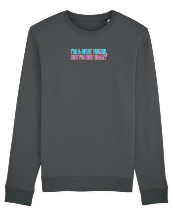 I`M A NEAT FREAK, BUT I`M NOT CRAZY - Sunt obsedat/a de curatenie 2 Anthracite