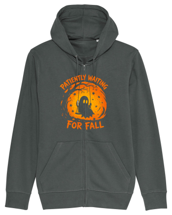 Patiently Waiting for Fall Anthracite