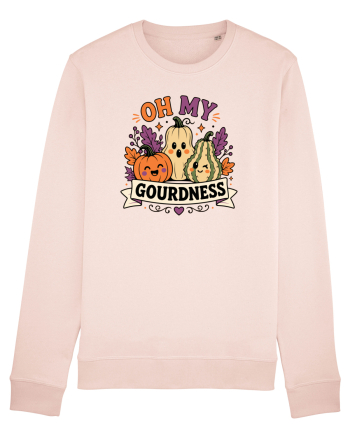 Halloween Pumpkin Fall Harvest Gourd Autumn Funny Seasonal Candy Pink