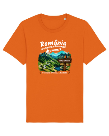 România.... Transfăgărășan  Bright Orange