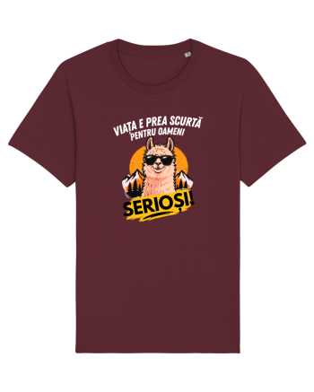Viața e prea scurta pentru oameni serioși  Burgundy