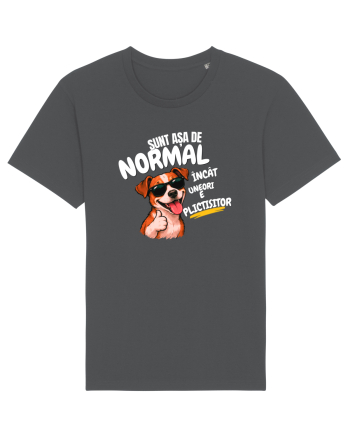 Sunt așa de normal..... Anthracite
