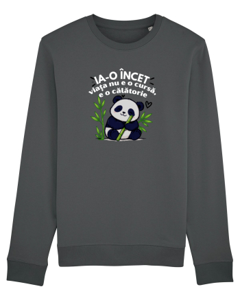 Ia-o încet... viața nu e o cursă,e o călătorie  Anthracite