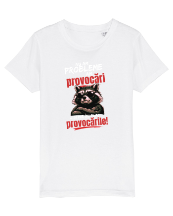 Nu am probleme...am provocări  White
