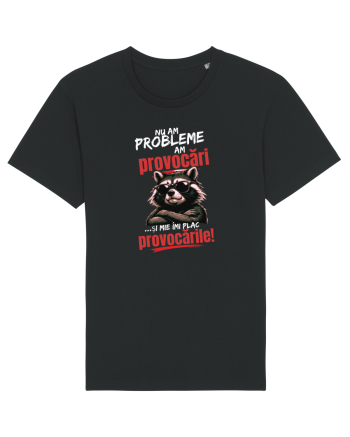 Nu am probleme...am provocări  Black