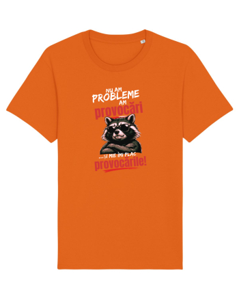 Nu am probleme...am provocări  Bright Orange