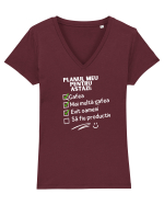 Planul meu pentru azi Tricou mânecă scurtă guler V Damă Evoker