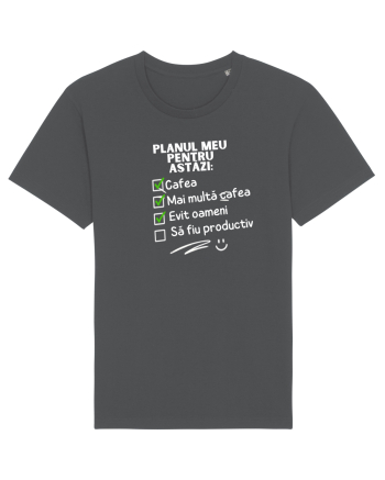 Planul meu pentru azi Anthracite