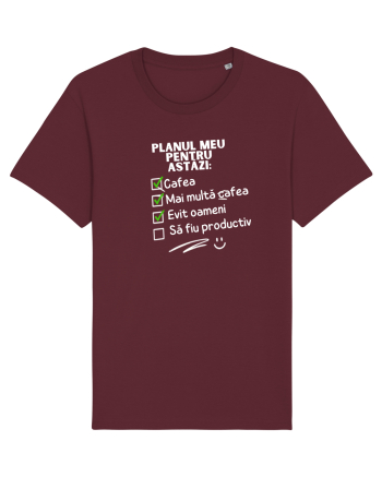 Planul meu pentru azi Burgundy