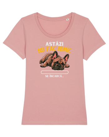 Azi nu fac nimic  Canyon Pink
