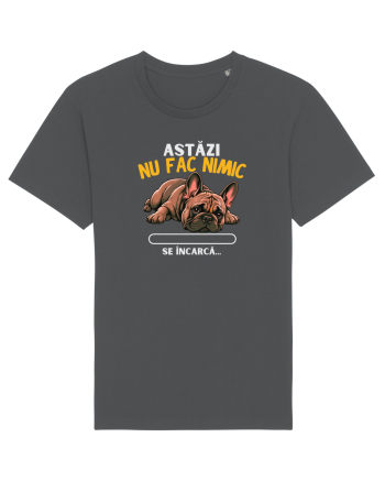 Azi nu fac nimic  Anthracite