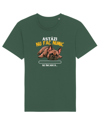 Azi nu fac nimic  Bottle Green