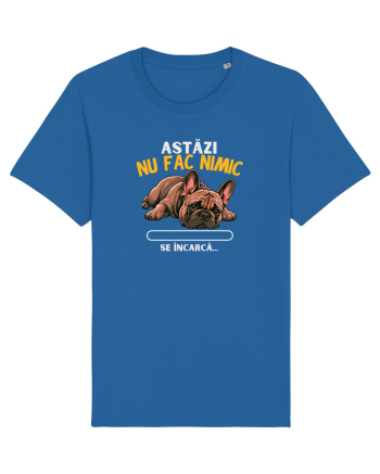 Azi nu fac nimic  Royal Blue