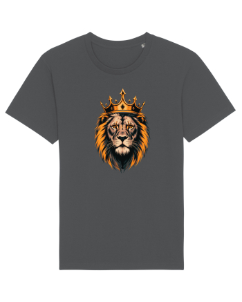 Lion king  Anthracite